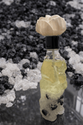 Glow Lion Diffuser – Lucky Energy Crystal Edition - Matrixes