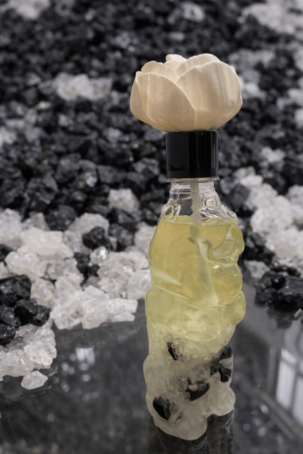 Glow Lion Diffuser – Lucky Energy Crystal Edition - Matrixes