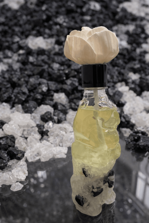 Glow Lion Diffuser – Lucky Energy Crystal Edition - Matrixes